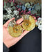 Ammonite Pair #61, 94.5gr