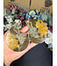 Ammonite Pair #63, 148.99gr