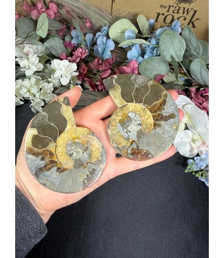 Ammonite Pair #64, 204.15gr