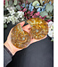 Ammonite Pair #65, 200.37gr