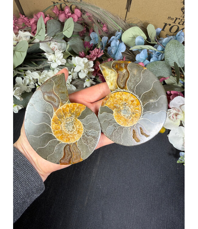 Ammonite Pair #67, 253.61gr