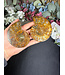 Ammonite Pair #66, 156.35gr