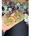 Ammonite Pair #62, 138.73gr