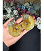 Ammonite Pair #61, 94.5gr