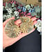 Ammonite Pair #58, 89.35gr