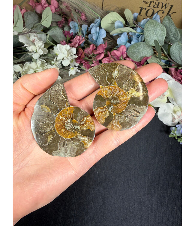 Ammonite Pair #52, 56.26gr