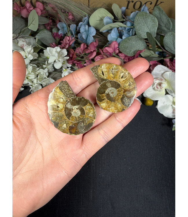 Ammonite Pair #49, 38.01gr