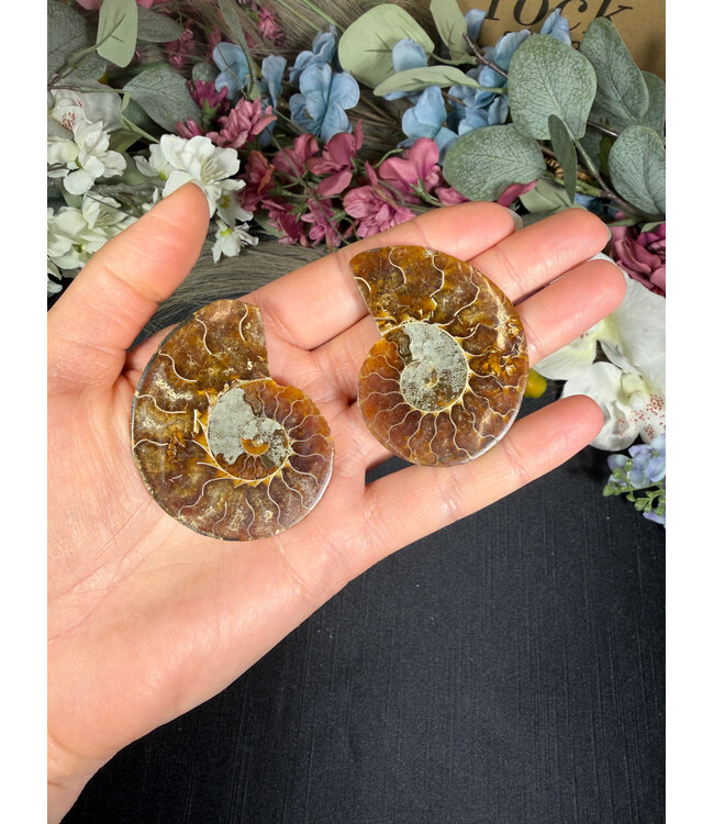 Ammonite Pair #50, 37.36gr