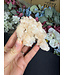 Apophyllite Specimen #1789, 96gr