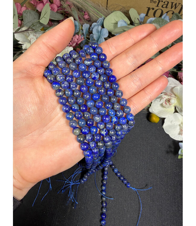 Lapis Lazuli Beads Polished 15" Strand 6mm 8mm