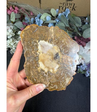 Petrified Wood Slice #34, 460gr