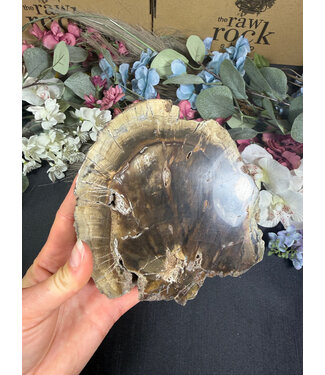 Petrified Wood Slice #36, 958gr
