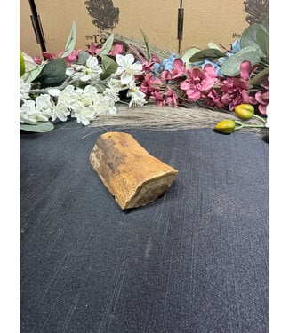 Petrified Wood Branch #6, 154gr