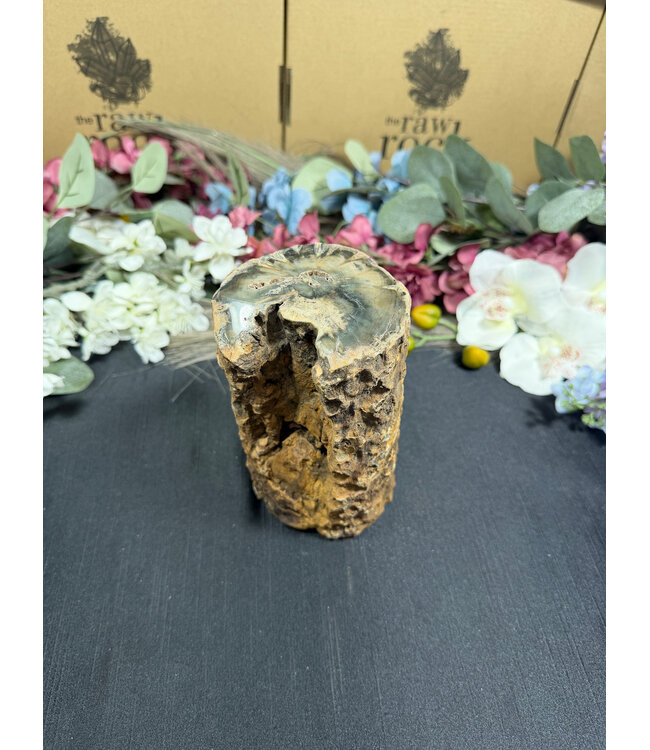 Petrified Wood Branch #5, 1294gr