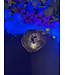 Petrified Wood Branch #2, 878gr