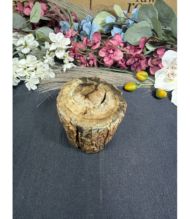 Petrified Wood Branch #3, 792gr