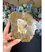 Petrified Wood Slice #34, 460gr