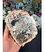 Petrified Wood Slice #32, 572gr