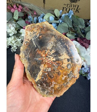 Petrified Wood Slice #30, 378gr
