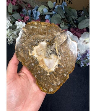 Petrified Wood Slice #29, 476gr