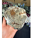 Petrified Wood Slice #28, 616gr