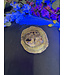 Petrified Wood Slice #26, 568gr