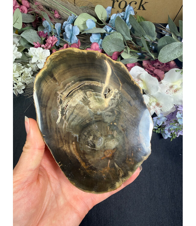 Petrified Wood Slice #24, 430gr