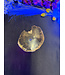 Petrified Wood Slice #22, 288gr