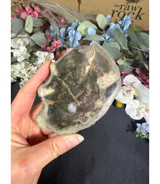 Petrified Wood Slice #21, 204gr