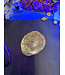 Petrified Wood Slice #16, 218gr