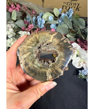 Petrified Wood Slice #15, 188gr