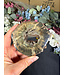 Petrified Wood Slice #15, 188gr