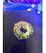 Petrified Wood Slice #15, 188gr