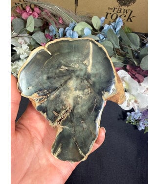 Petrified Wood Slice #14, 258gr