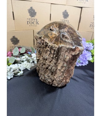 Petrified Wood Log #1, 16884gr