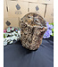 Petrified Wood Log #1, 16884gr