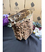 Petrified Wood Log #1, 16884gr