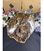 Petrified Wood Log #1, 16884gr