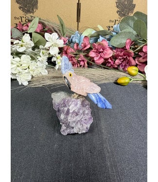 Gemstone Parrot #383, 104gr