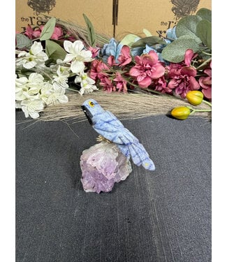 Gemstone Parrot #382, 91.15gr