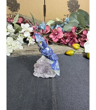 Gemstone Parrot #378, 119.68gr