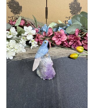 Gemstone Parrot #375, 91.73gr