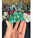 Malachite after Azurite Pseudomorph #4, 64gr