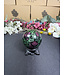 Ruby Zoisite Sphere #15, 68.4mm, 554gr