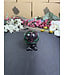 Ruby Zoisite Sphere #1, 57.1mm, 306gr