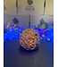 Large Yooperlite Moon Sphere #13, 1204gr