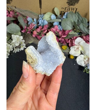 Blue Lace Agate Raw Geode #692, 74gr