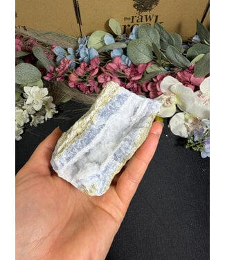 Blue Lace Agate Raw Geode #731, 544gr