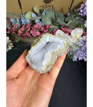 Blue Lace Agate Raw Geode #726, 346gr