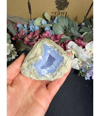 Blue Lace Agate Raw Geode #727, 368gr